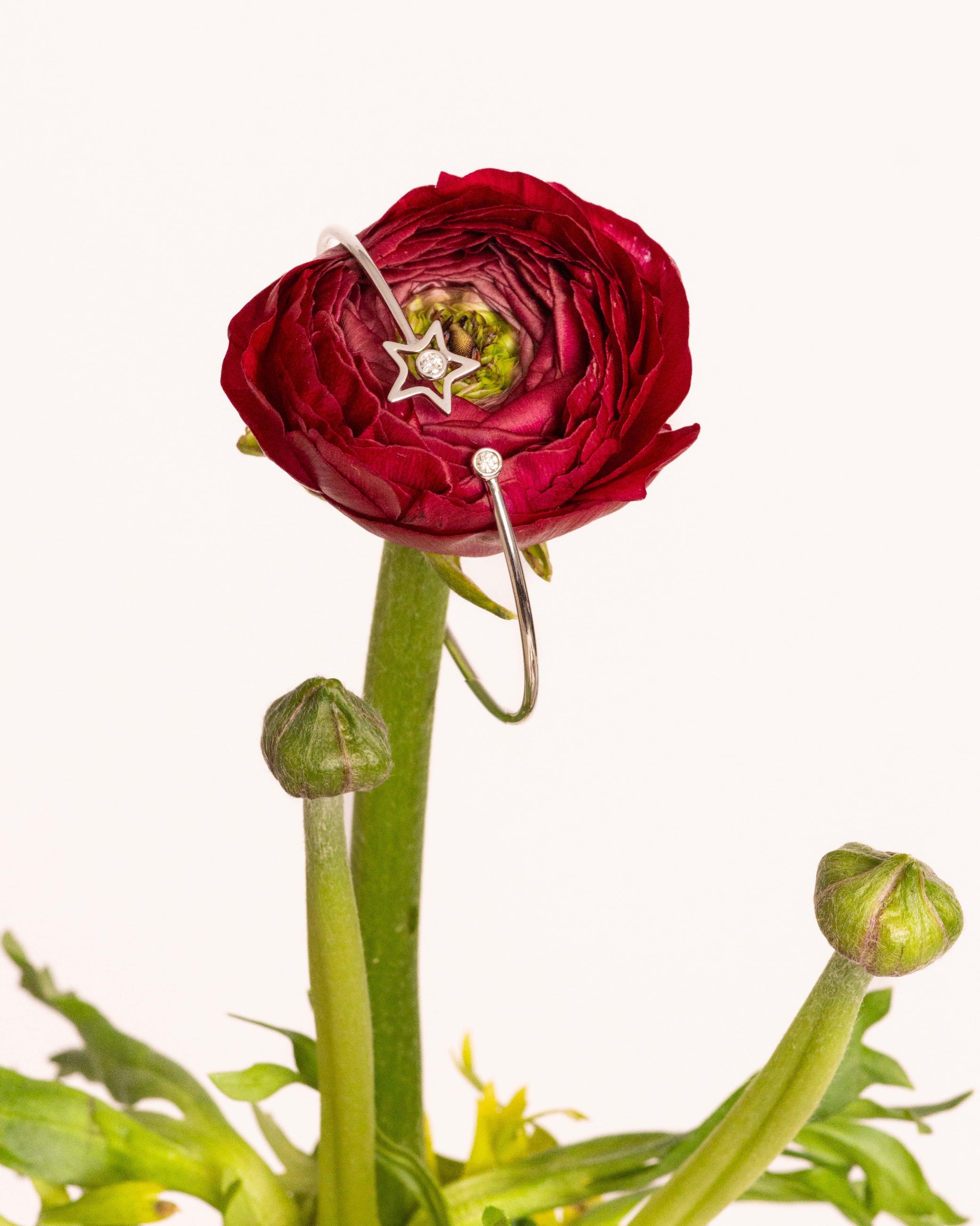 Bracciale Rigido con Stella e Punto Luce